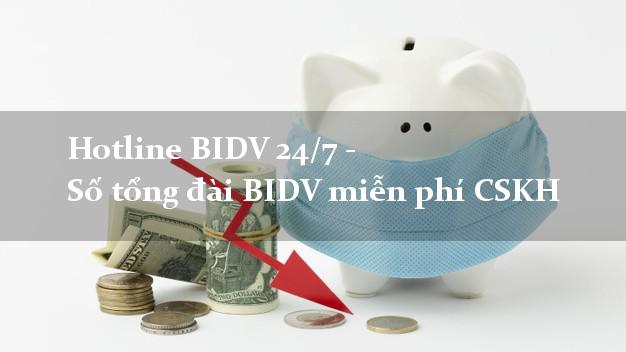 Hotline BIDV 24/7 - Số tổng đài BIDV miễn phí CSKH